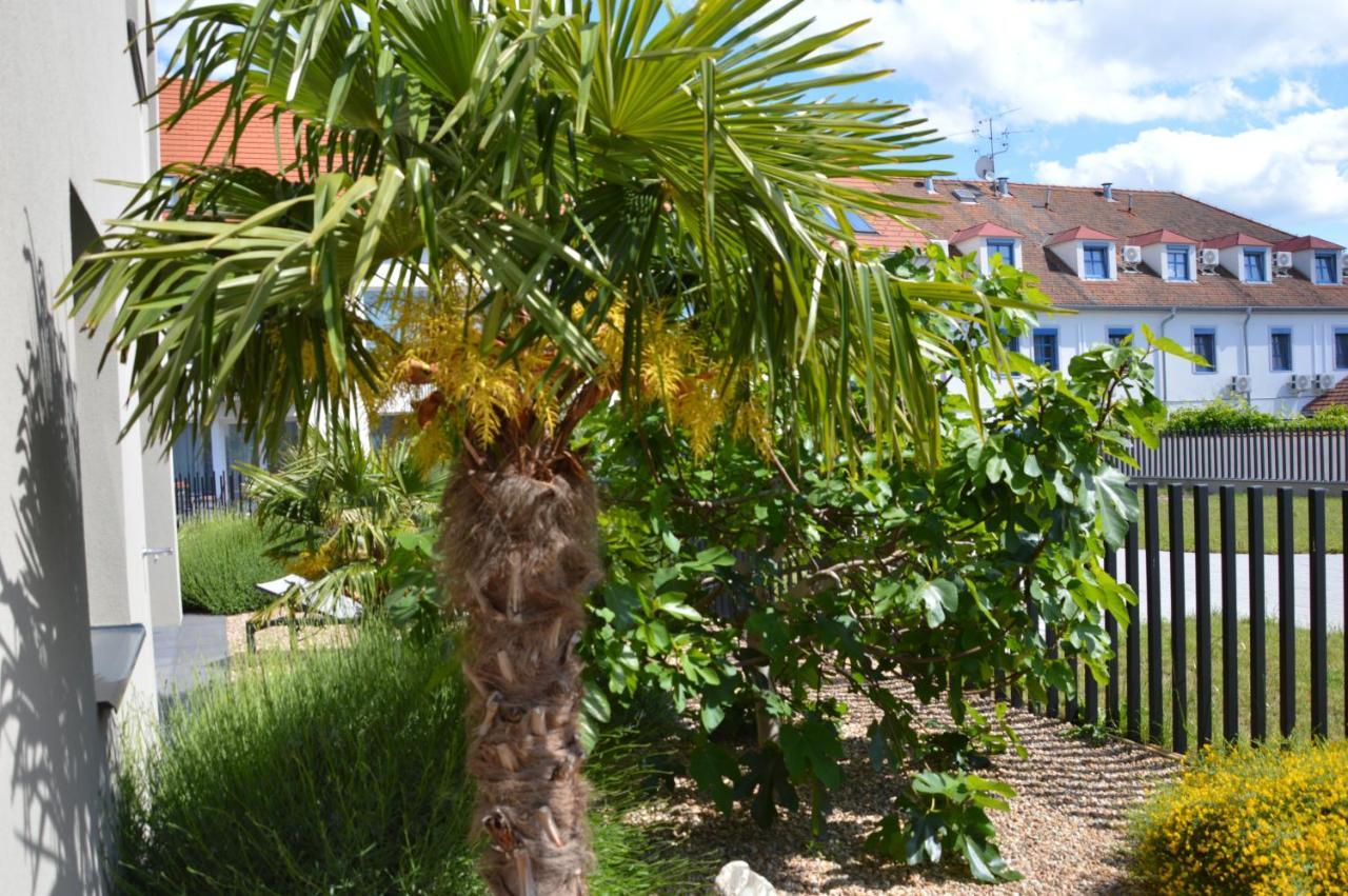 Palm Garden Apartment 1 Mikulov Extérieur photo